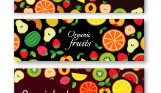 3 banner frutta – organic fruit banner