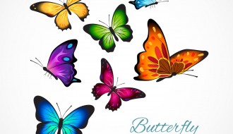 7 farfalle – colorful butterflies