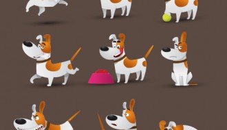 9 cani – Jack Russell dogs