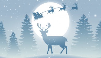 renna, slitta, alberi, neve, Natale – beautiful Christmas scene