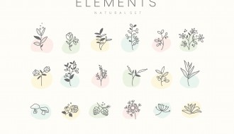 elementi botanici floreali – set hand drawn botanical elements