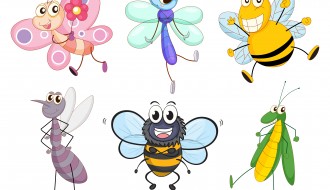 6 insetti – cartoon insects